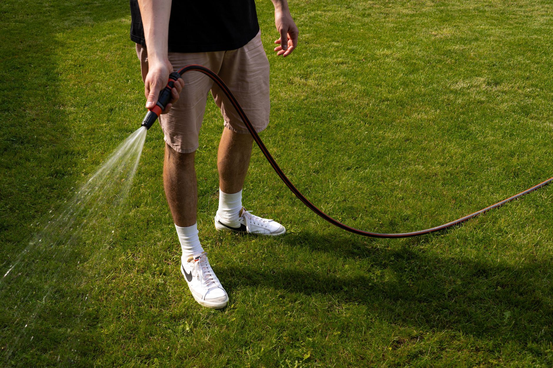 A garden hose on a green lawn