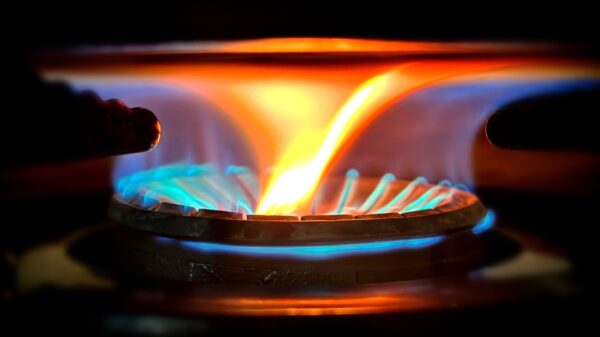 Best carbon monoxide detector: blue flames on a gas burner