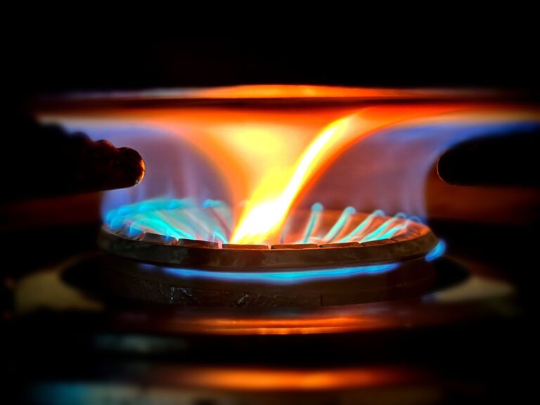 Best carbon monoxide detector: blue flames on a gas stove burner