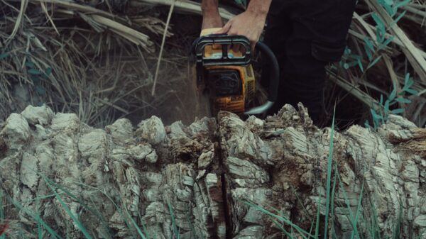A chainsaw cutting through a log