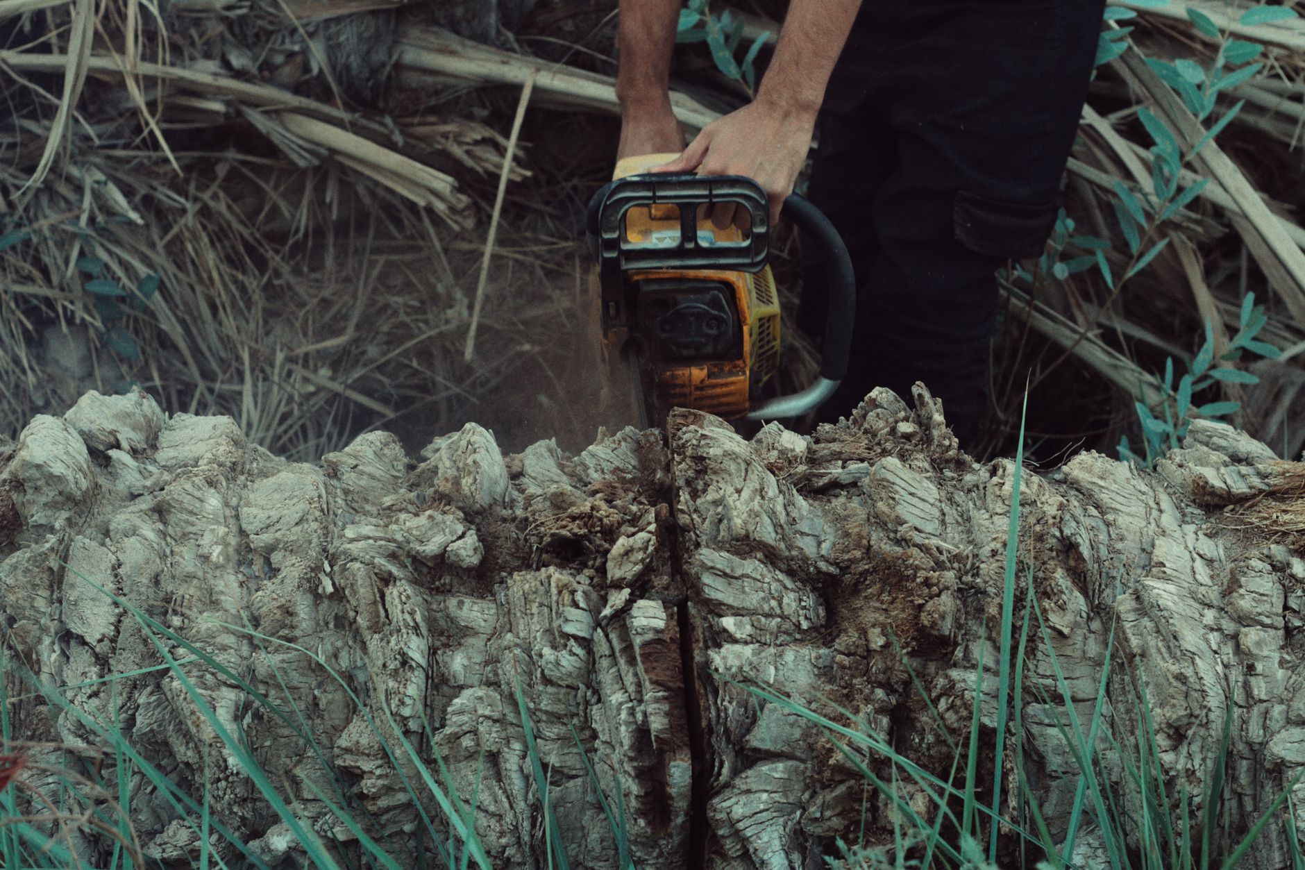 A chainsaw cutting through a log