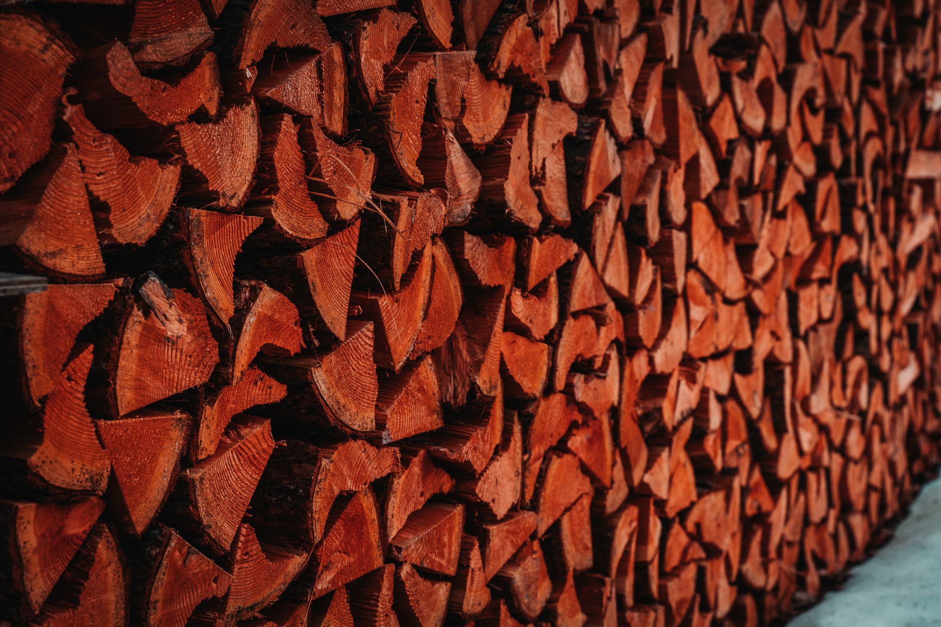 Stacked split firewood