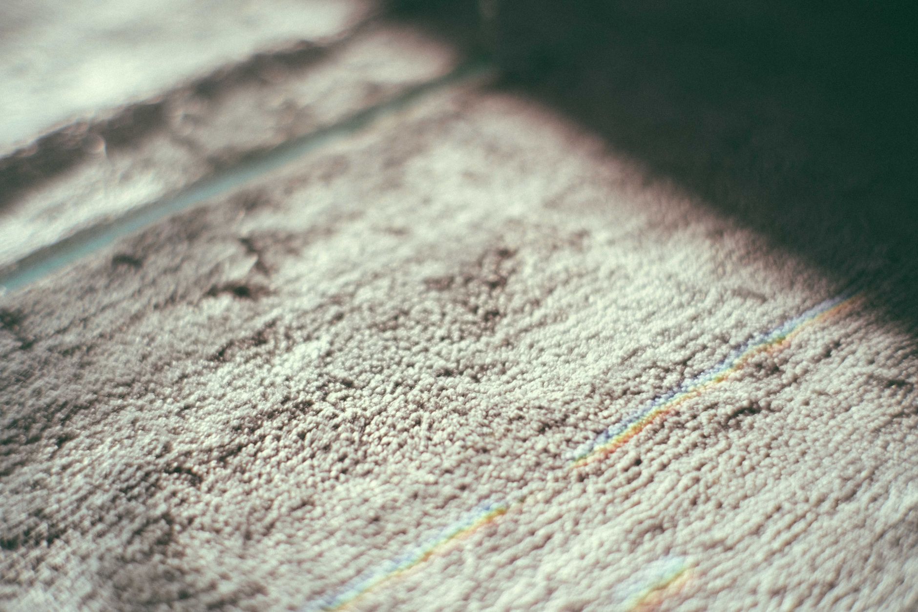 Close view of carpet texture