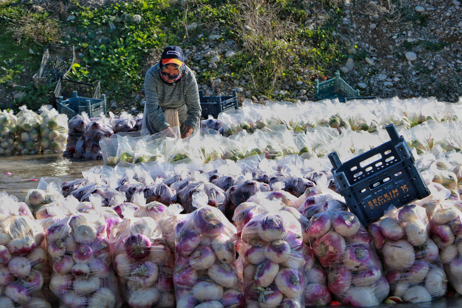 Bagged produce at an outdoor market