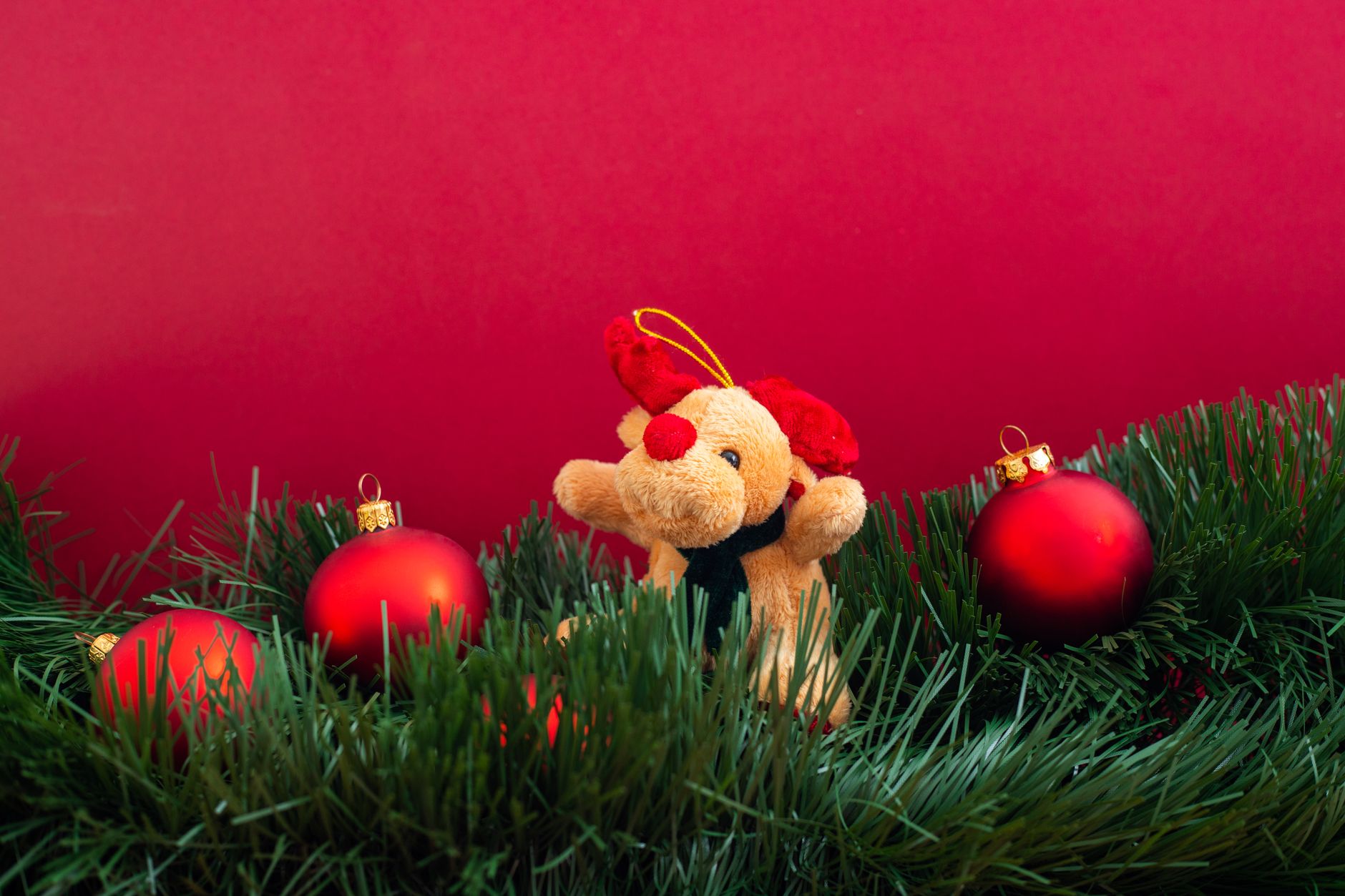 Ornaments and a plush toy on garland