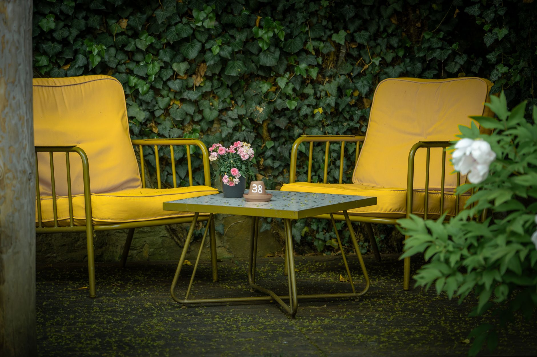 A garden patio on a summer day