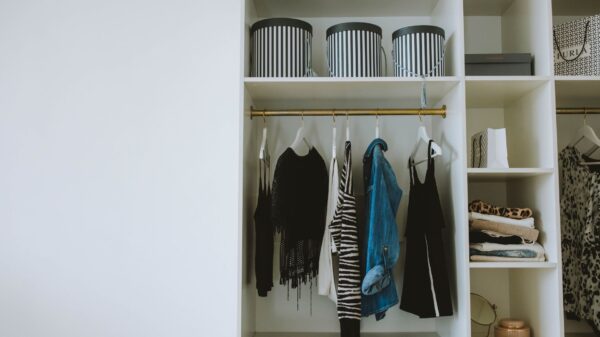 Best closet organizer: clothes hanging neatly in an organized closet