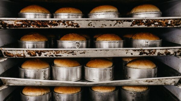 Best commercial convection oven: bread loaves on bakery racks