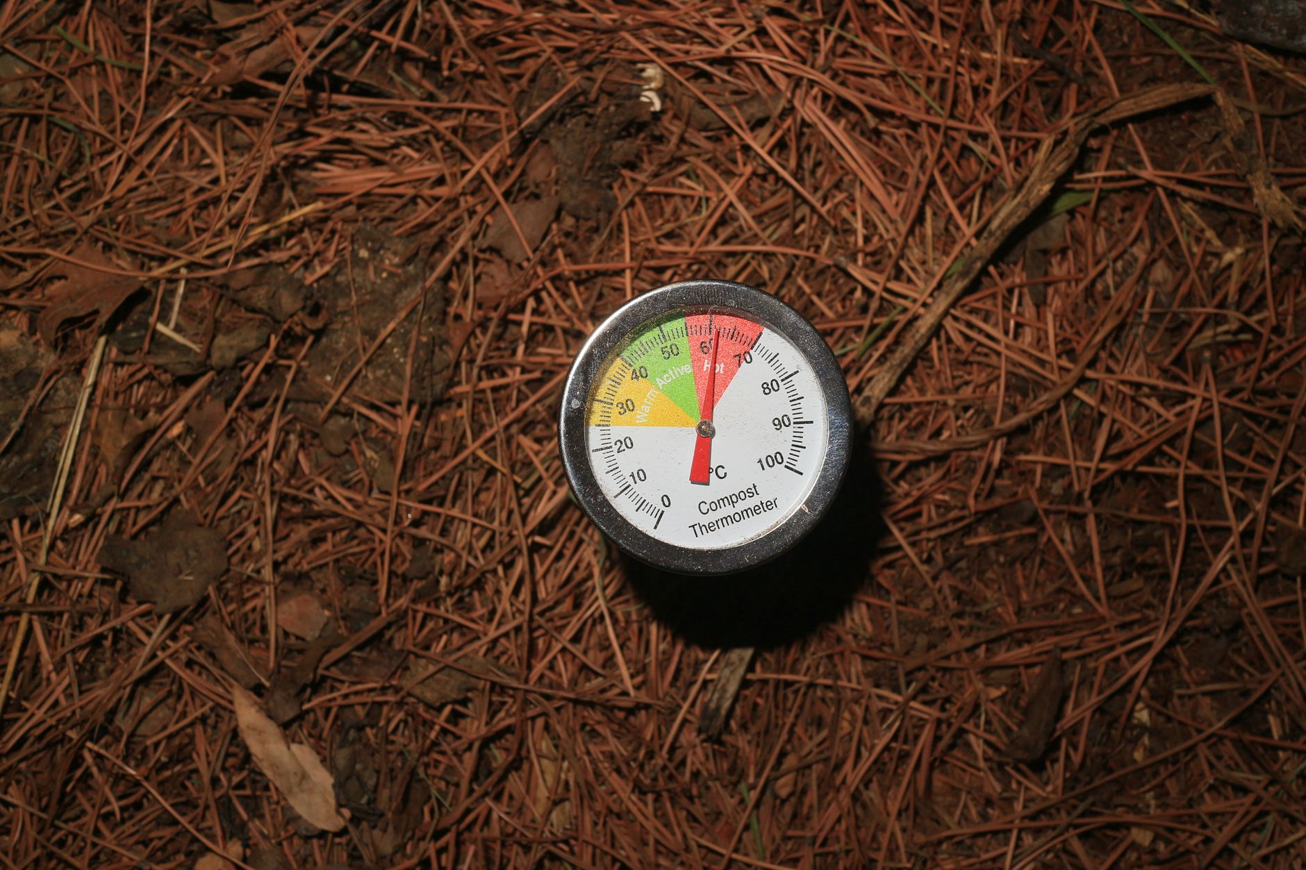 A compost thermometer on a pile of pine needles