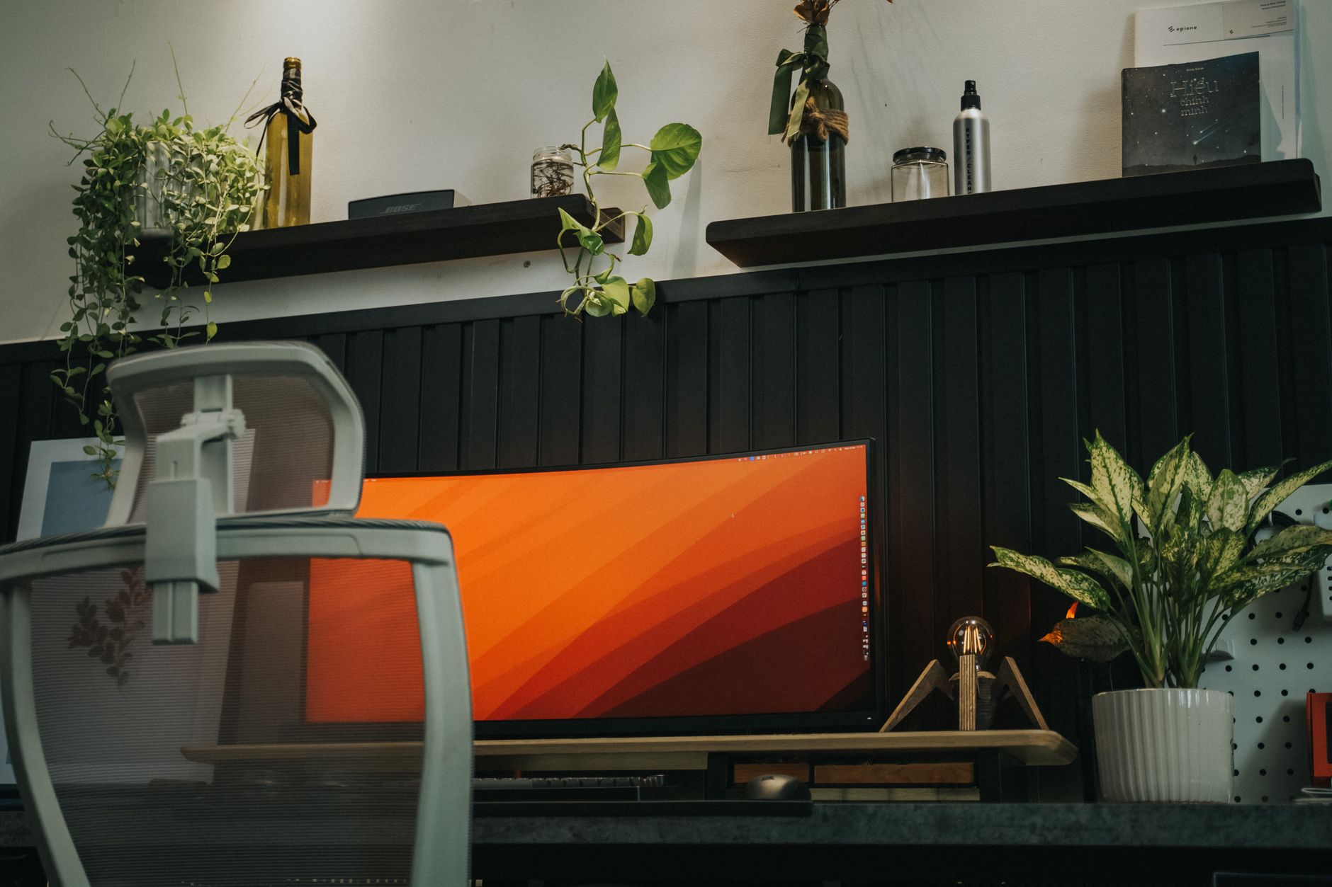 A home office desk with plants
