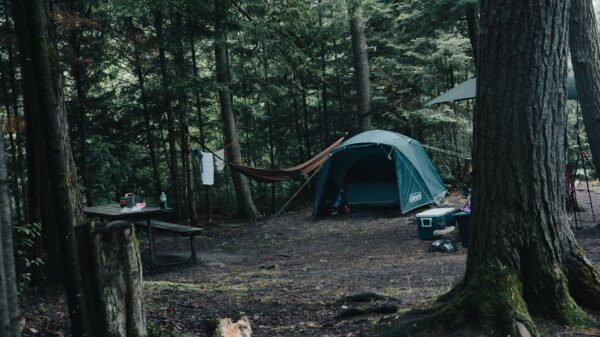 A tent and hammock at a wooded campsite