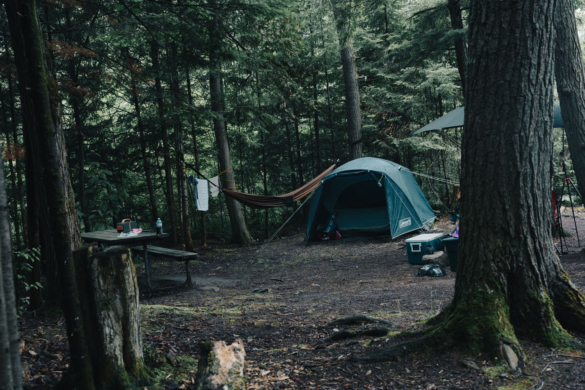 A tent and hammock at a wooded campsite