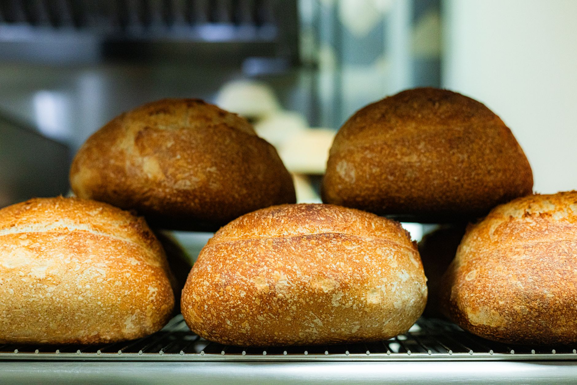 Loaves of bread on a metal rack
