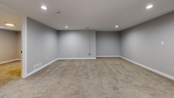 Best dehumidifier for basement: a carpeted finished basement