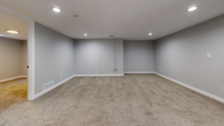 Best dehumidifier for basement: a carpeted finished basement