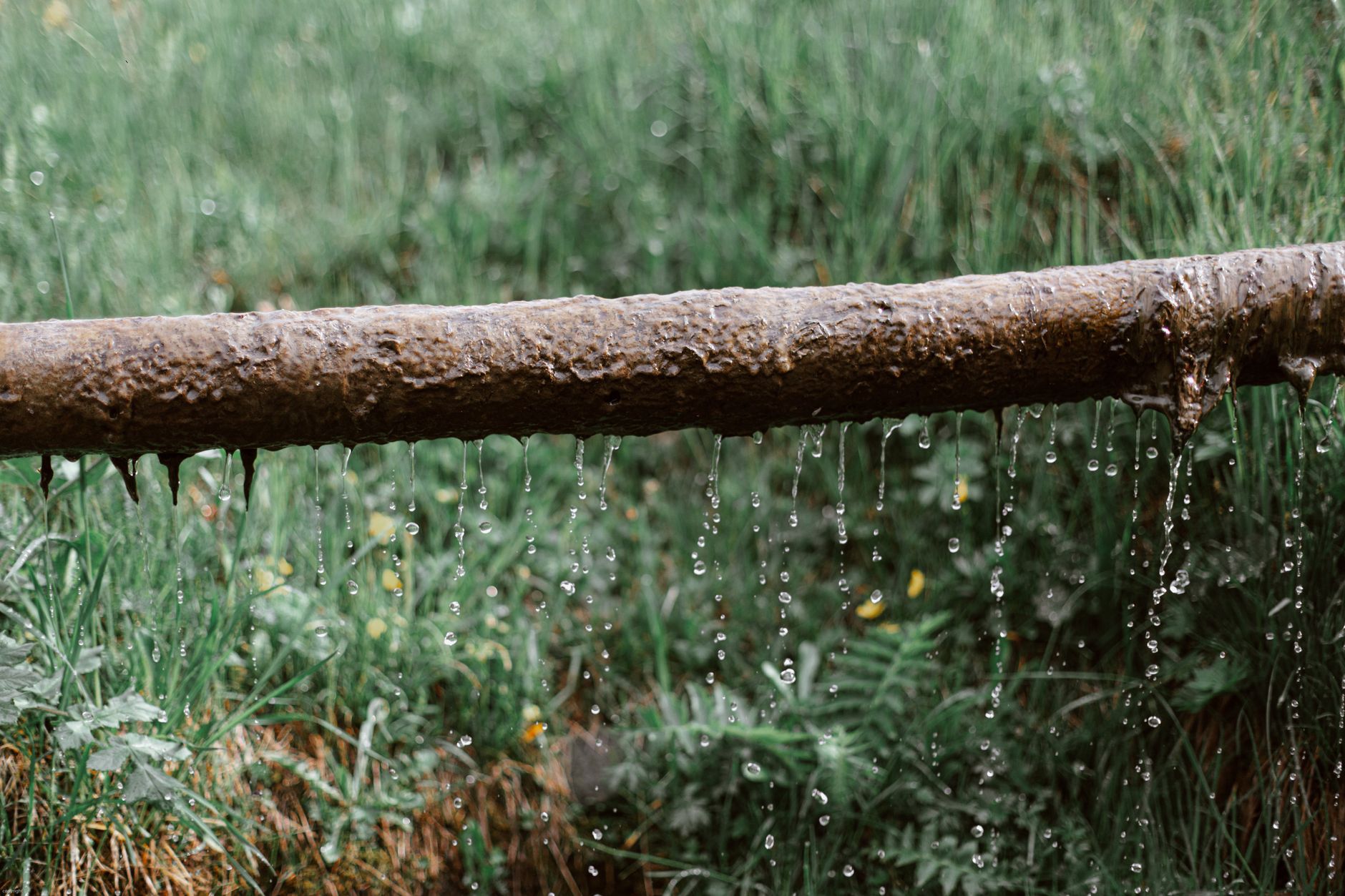 Water dripping from a pipe