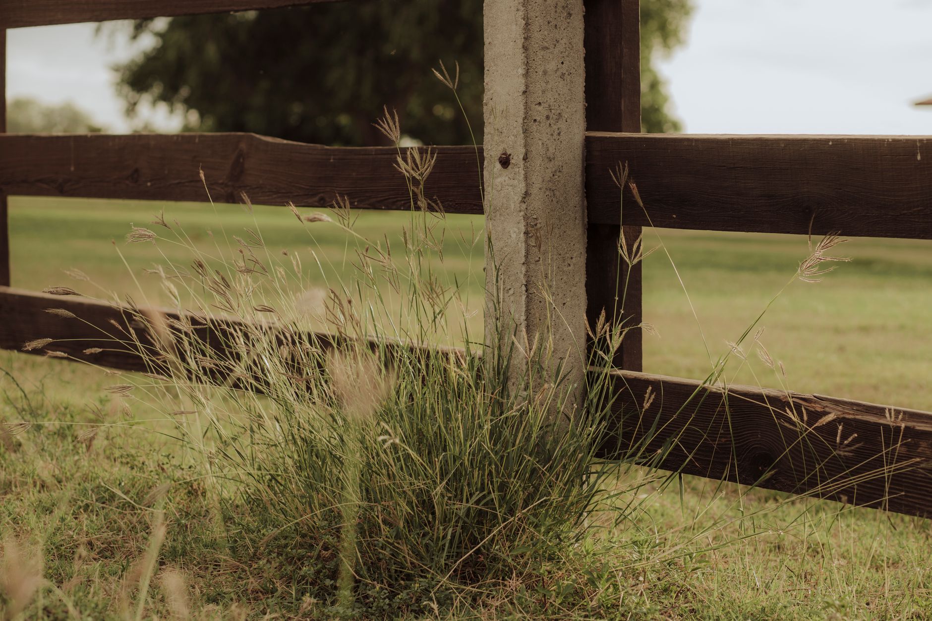 A wooden fence by a grassy field