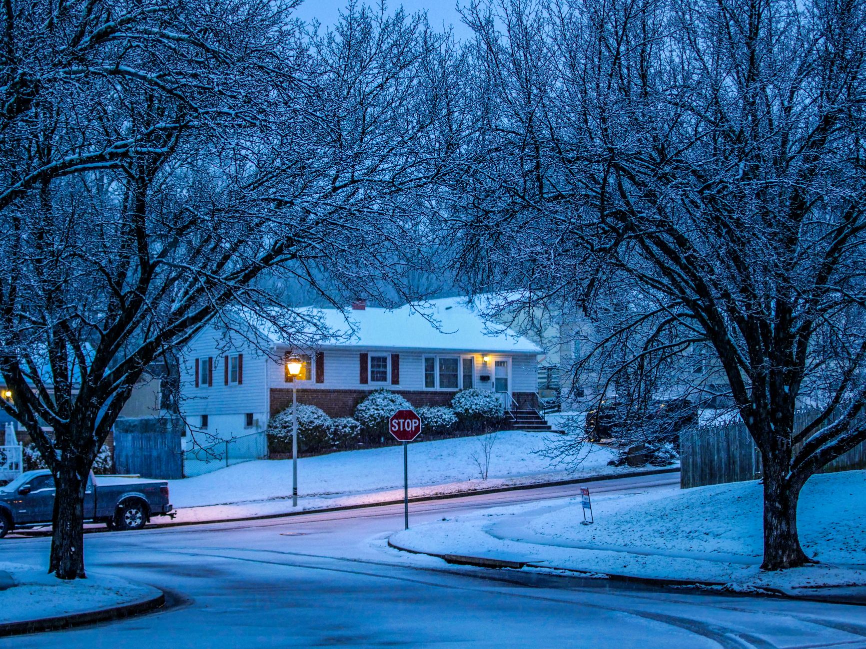 Snowy trees along a quiet residential street at dusk