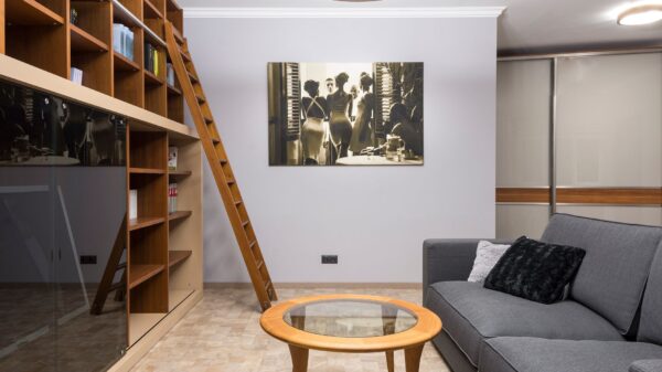 Best duster: a living room with tall shelves and a ladder