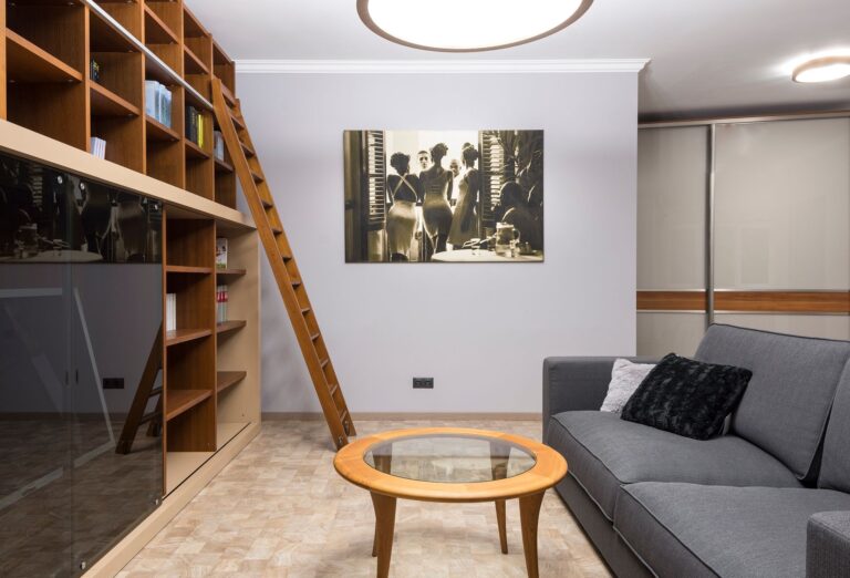 Best duster: a living room with tall shelves and a ladder
