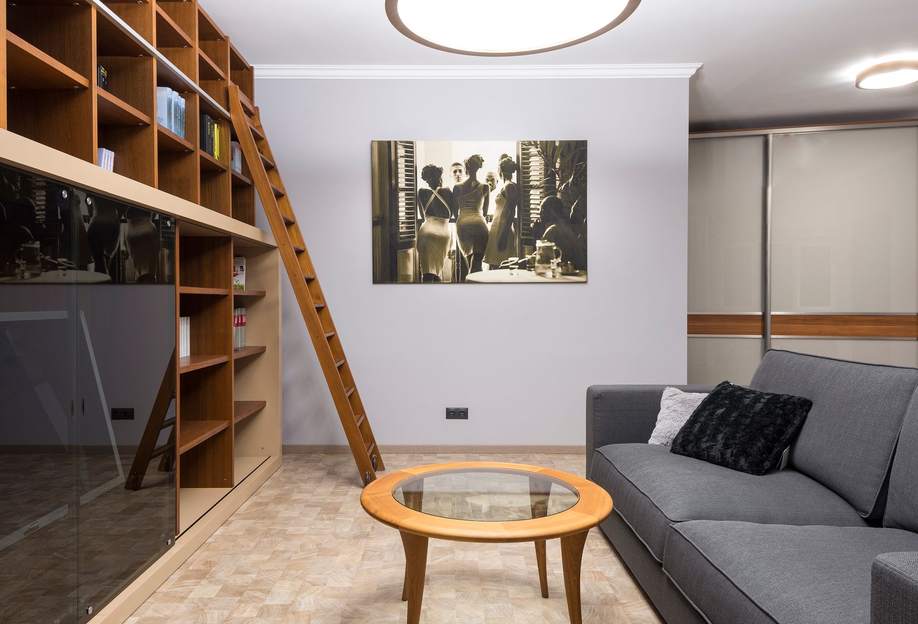 Best duster: a living room with tall shelves and a ladder