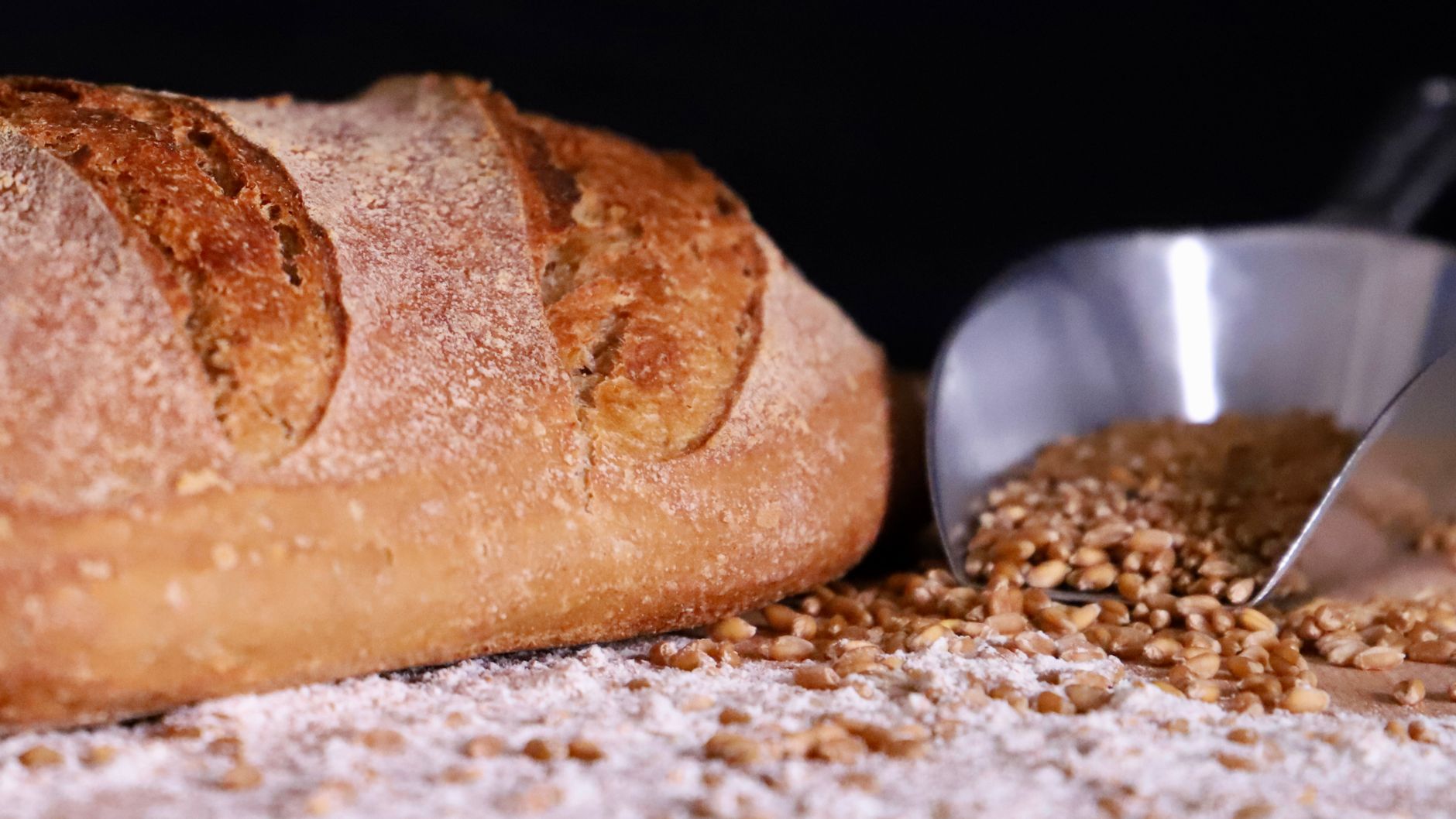A freshly baked loaf of crusty bread