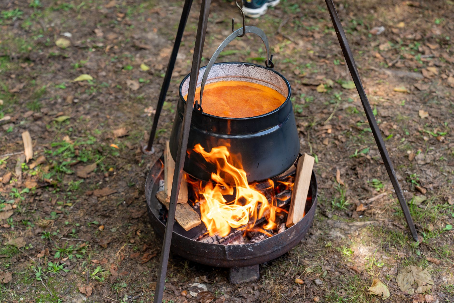 A pot cooking over a campfire