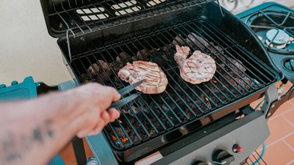 Best electric grill: pork chops on a portable grill
