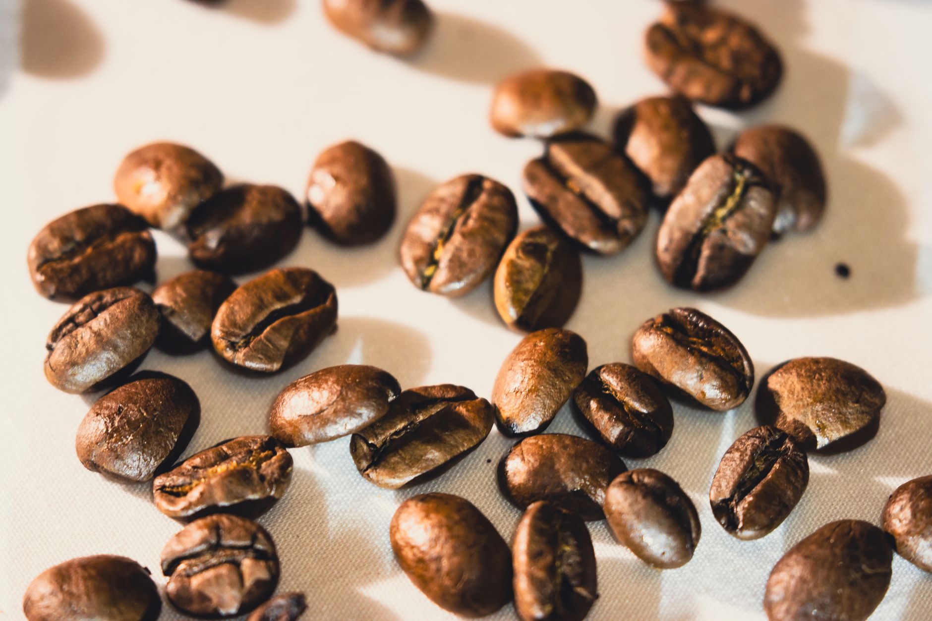 Roasted coffee beans ready for grinding