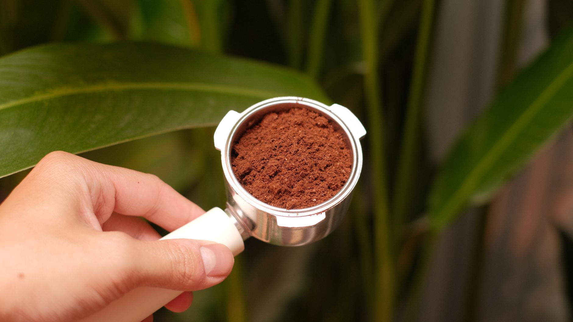 Ground coffee in an espresso portafilter
