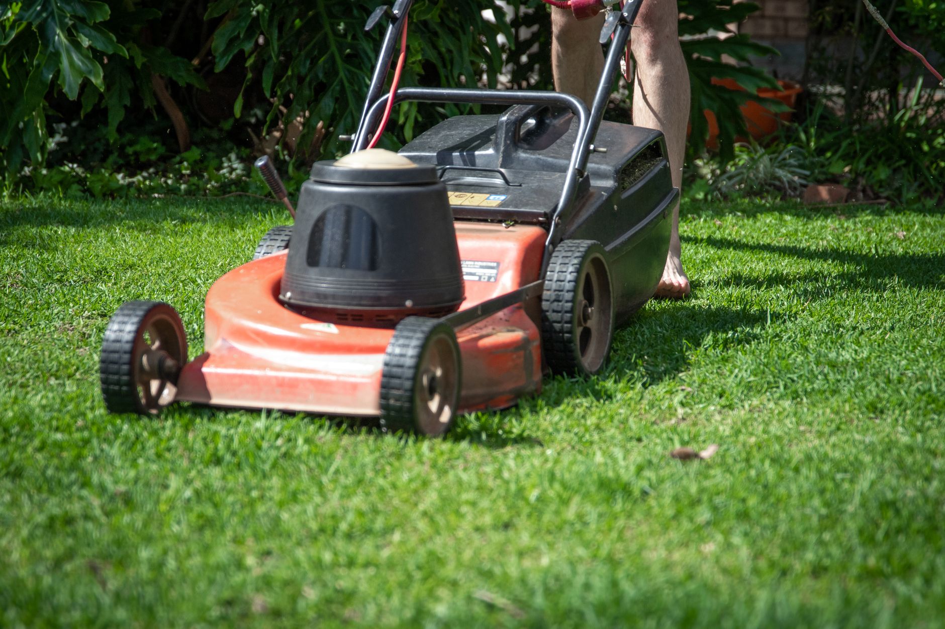 A backyard lawn being mowed