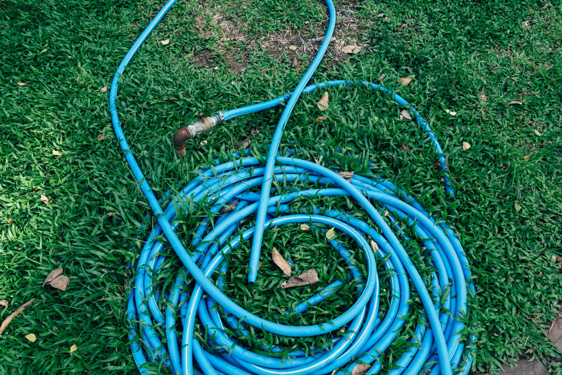 A garden hose outdoors