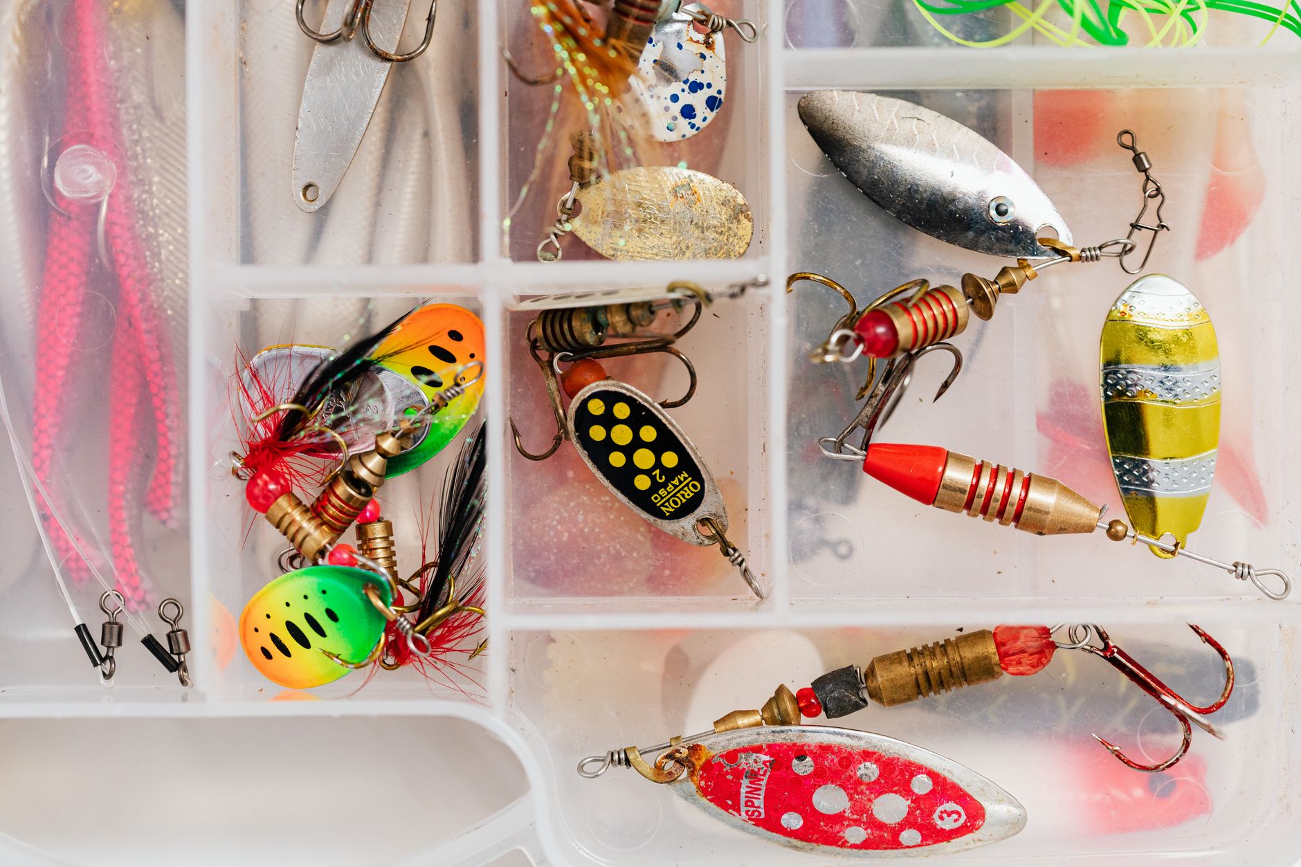 Fishing lures in a tackle box