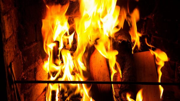 Best fire logs: a fire burning in a home fireplace