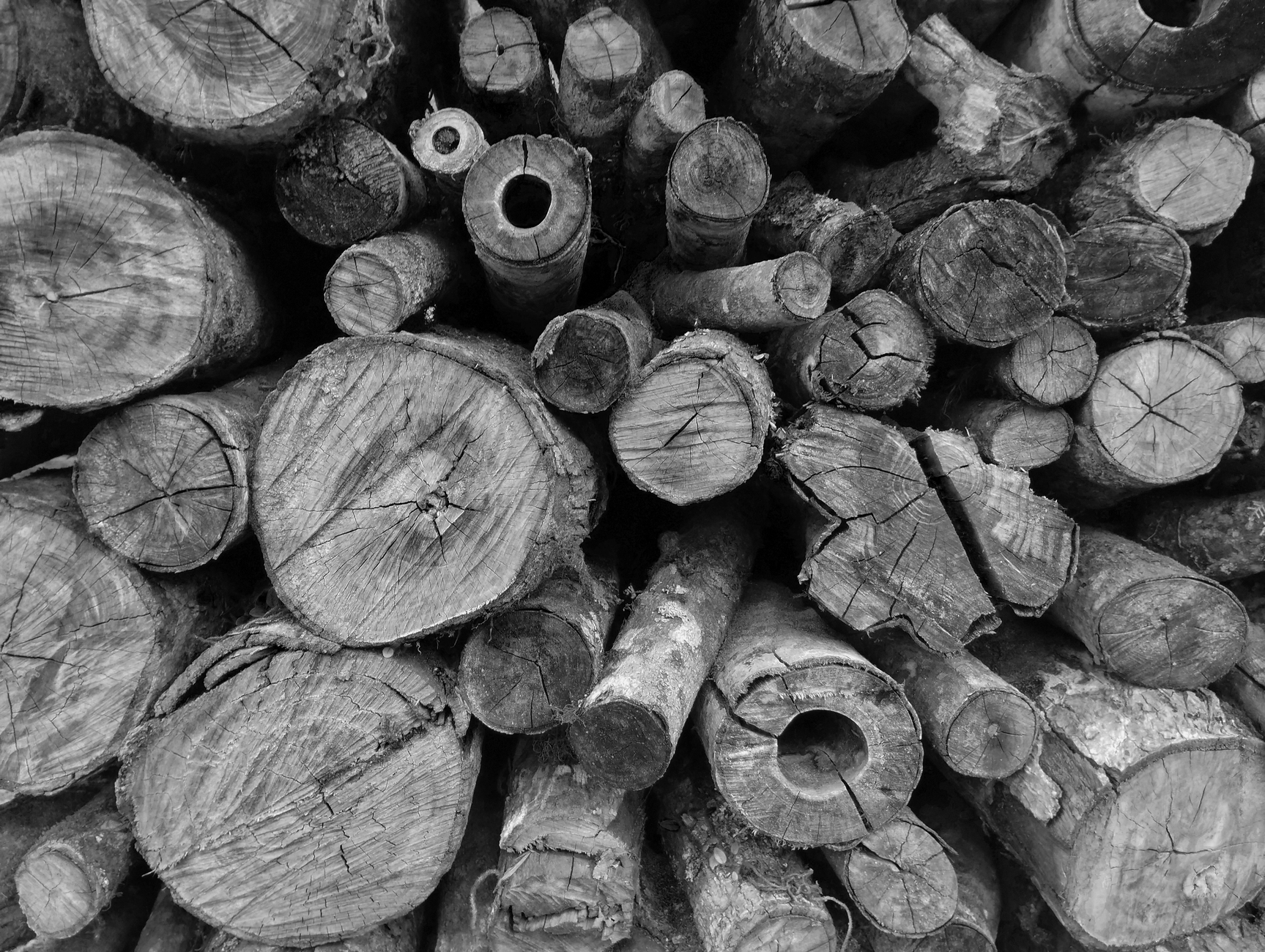 A stack of split firewood logs