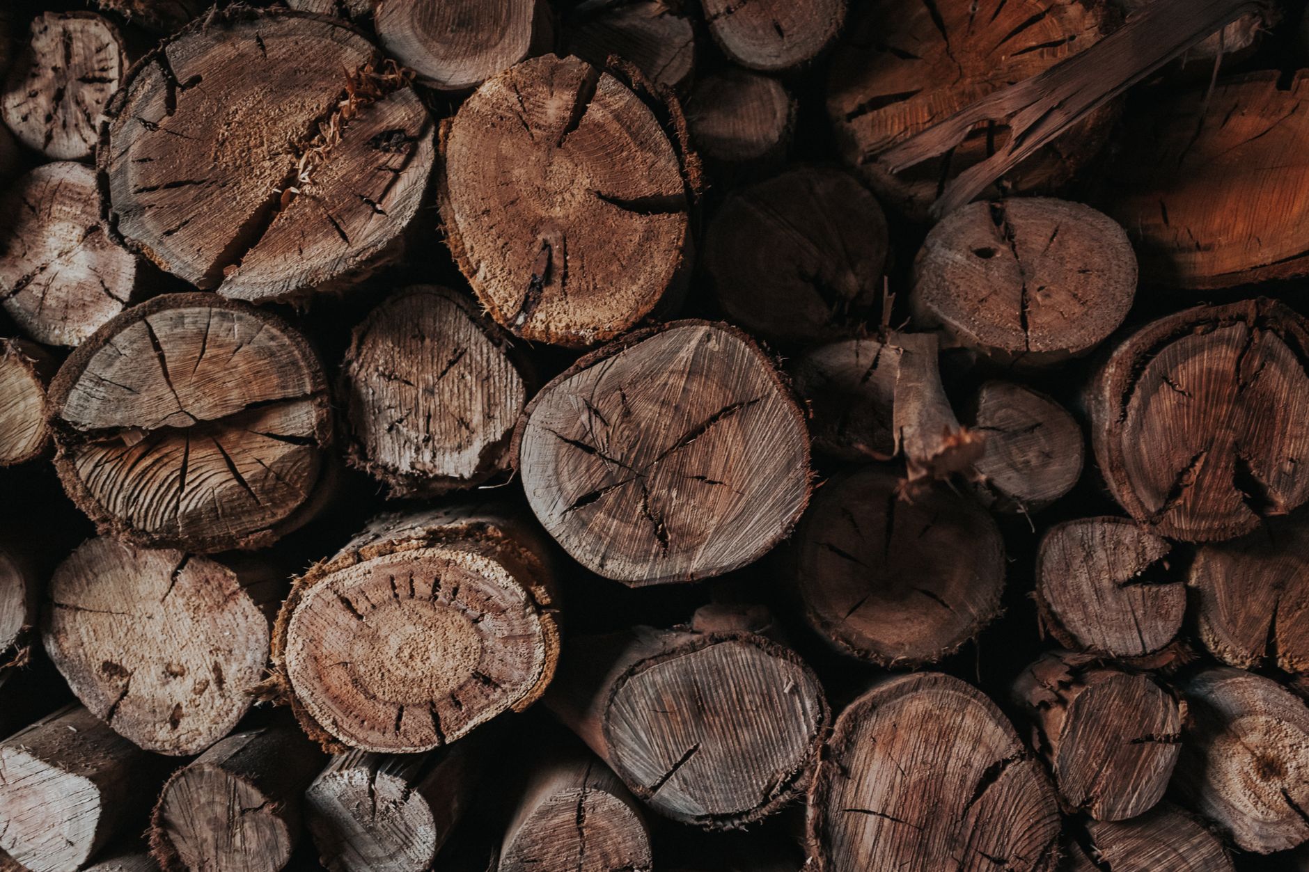 A stack of split firewood