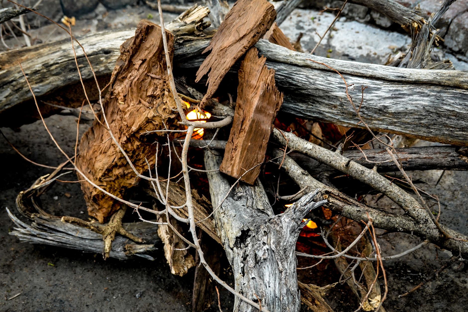 Branches and split kindling wood