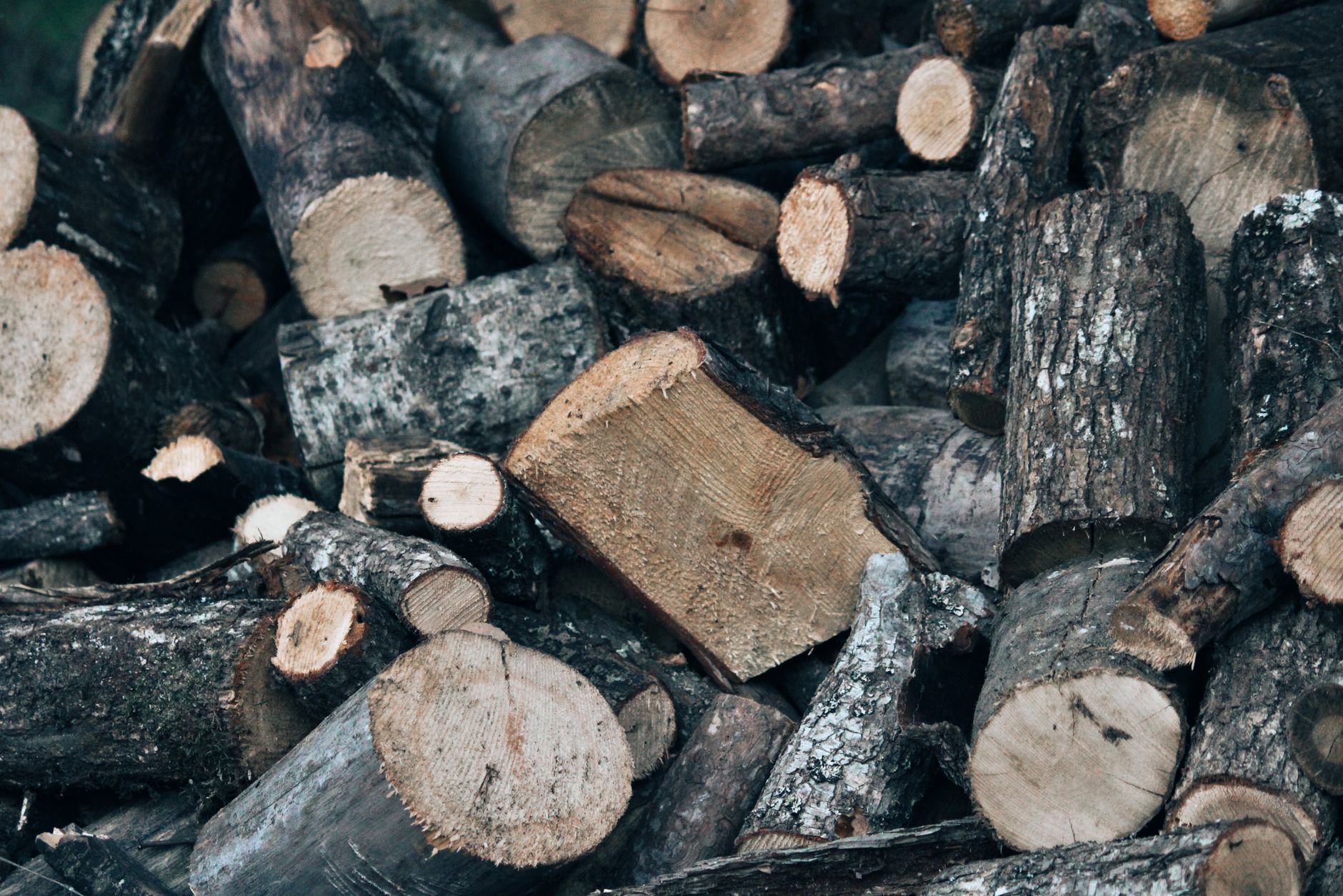 A pile of split logs