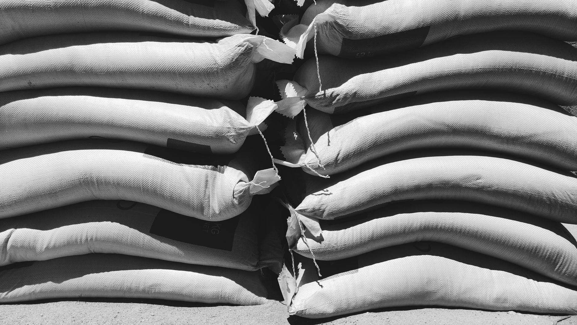Rows of filled sandbags stacked into a barrier