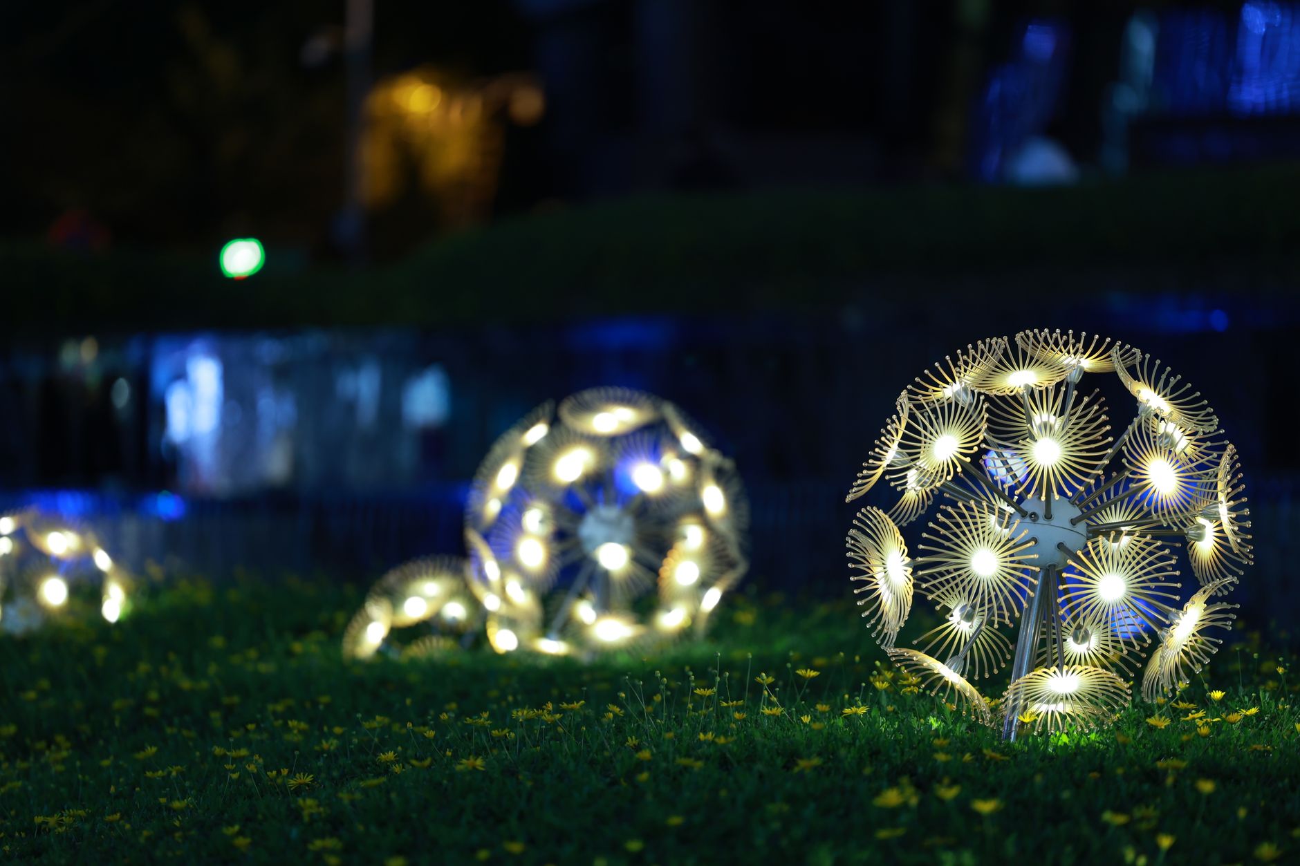 Garden lighting at night