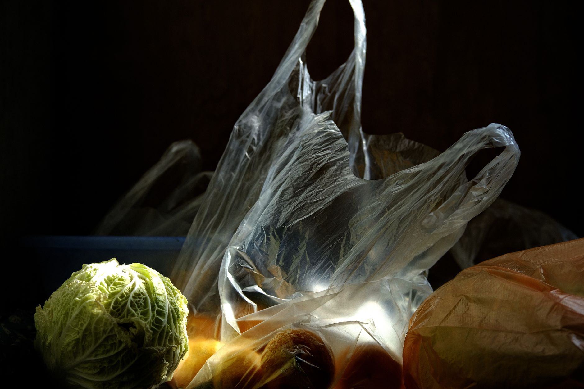 Groceries in plastic bags