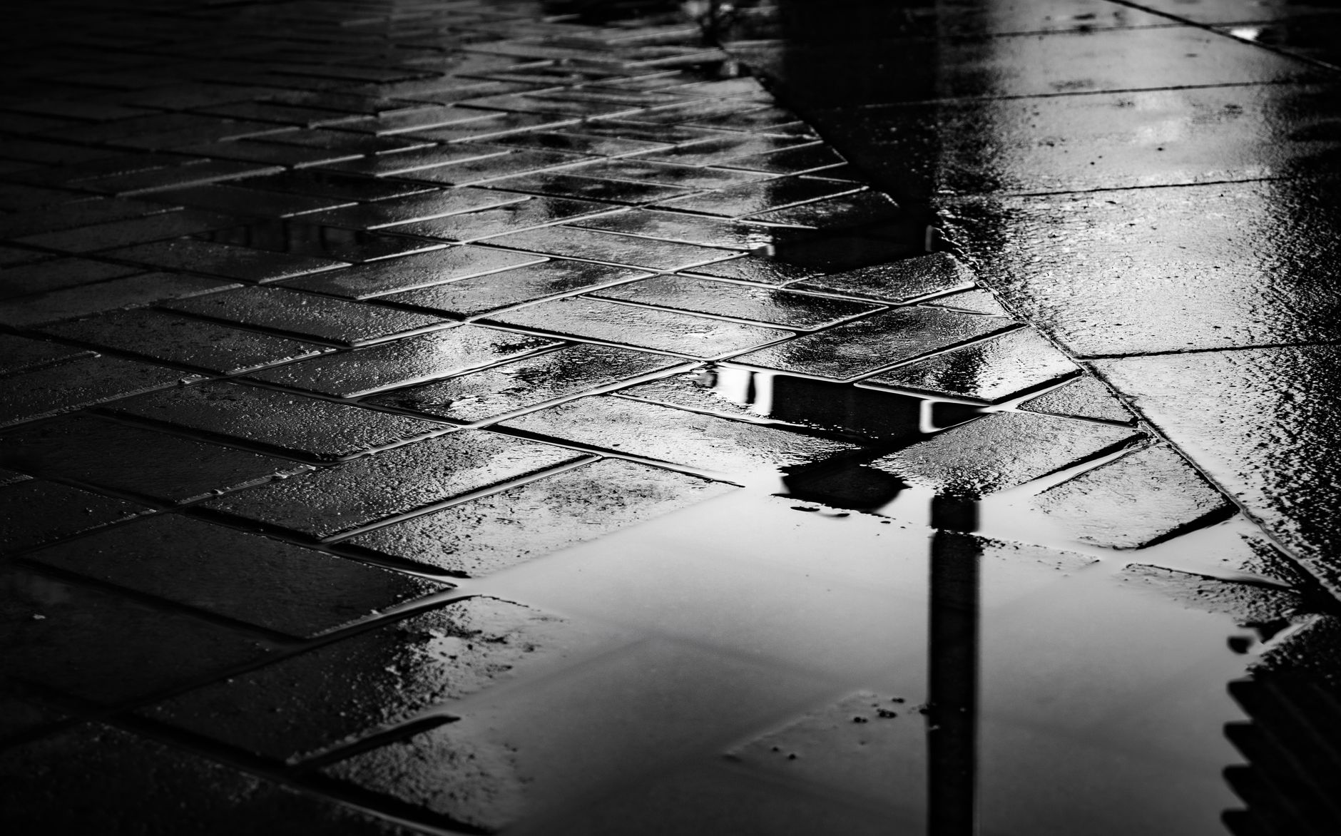 Rain puddles on dark pavers
