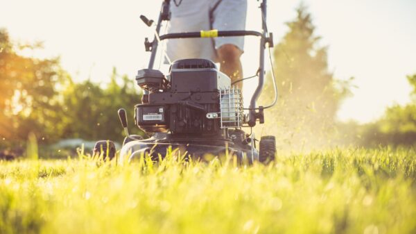 Best garden cart: yard work in a home garden