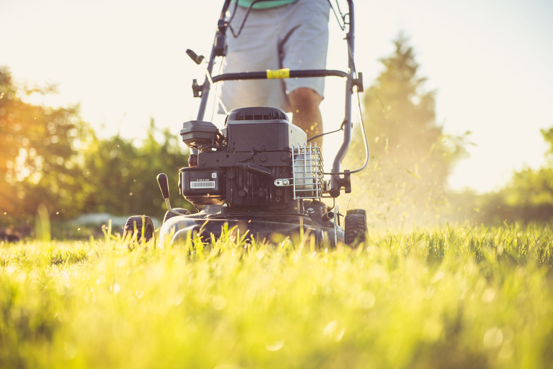 Best garden cart: yard work in a home garden