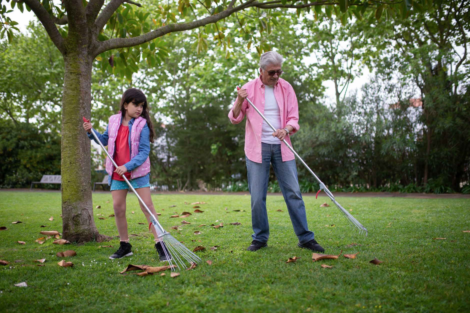 Raking autumn leaves on a lawn