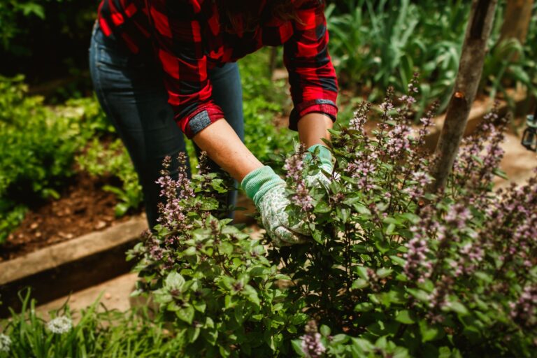Best garden gloves: a gardener wearing gloves while working in the soil