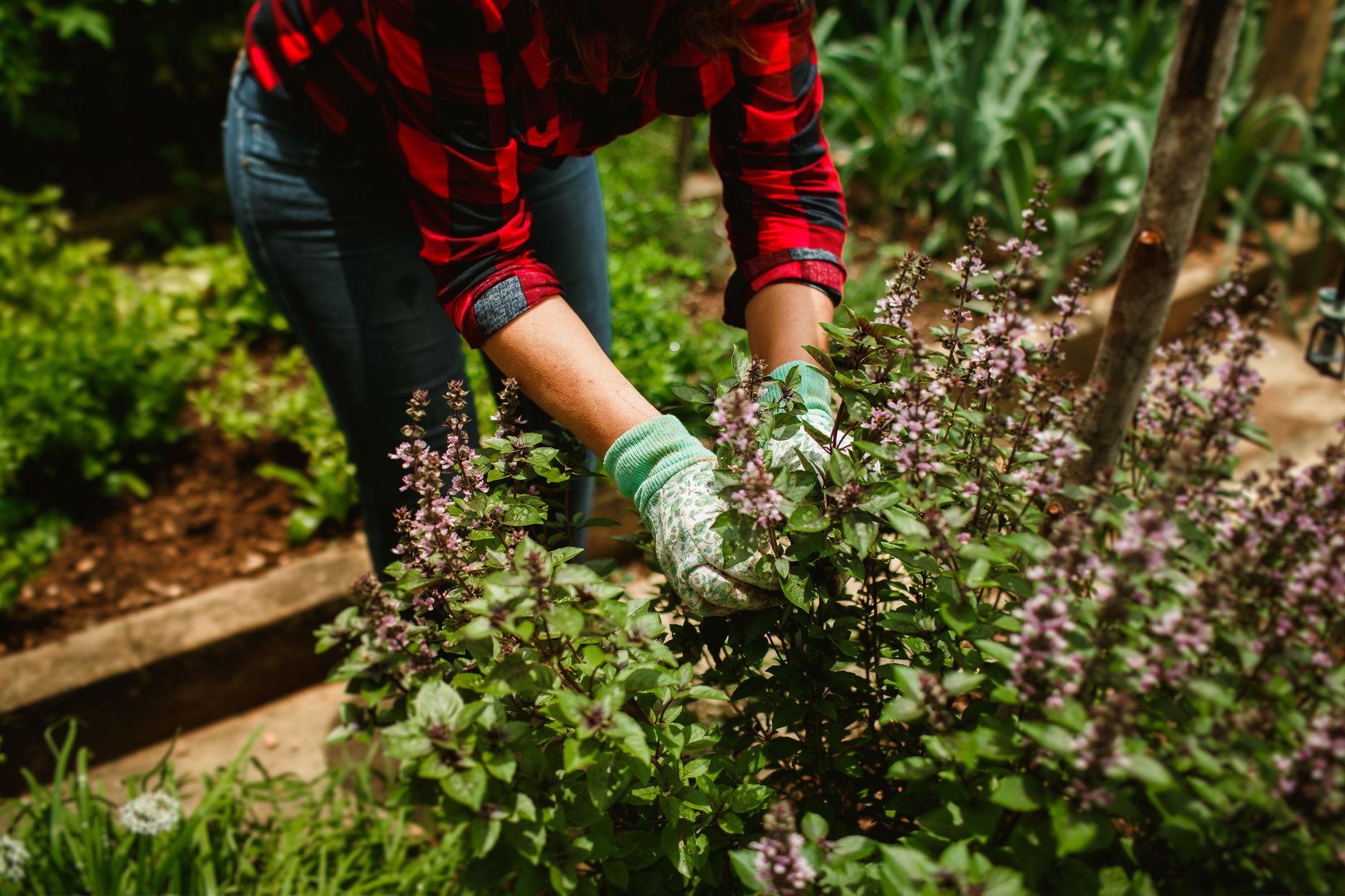 Best garden gloves: a gardener wearing gloves while working in the soil