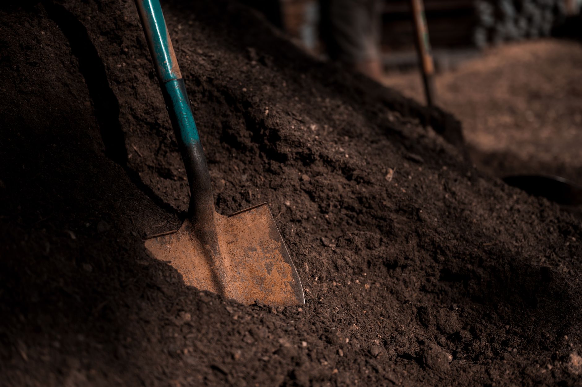 Hand tools resting on garden soil