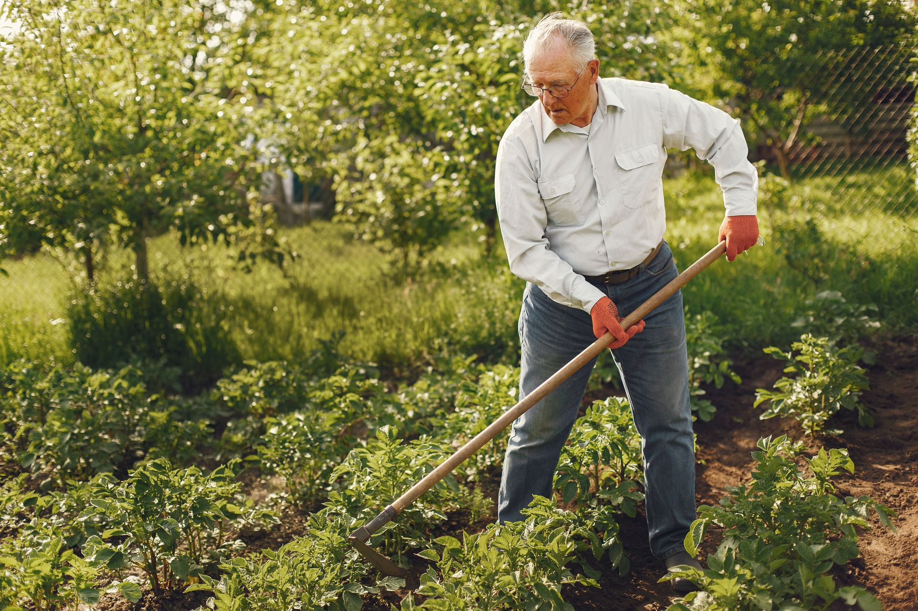 Pulling weeds from garden soil