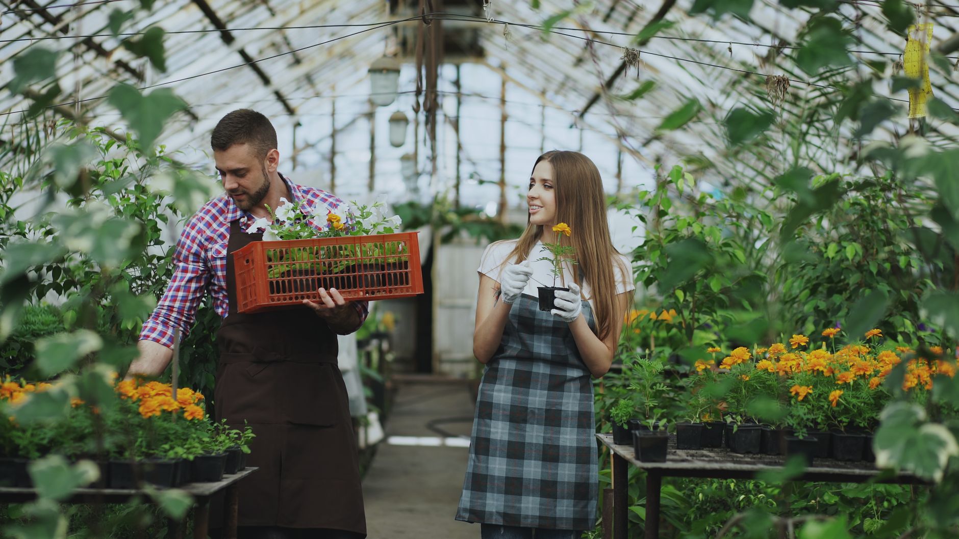 Planting flowers in a garden bed